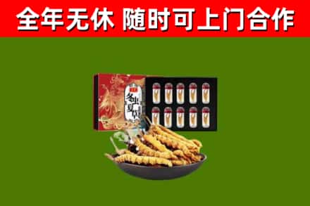 河东区烟酒回收冬虫夏草礼盒.jpg